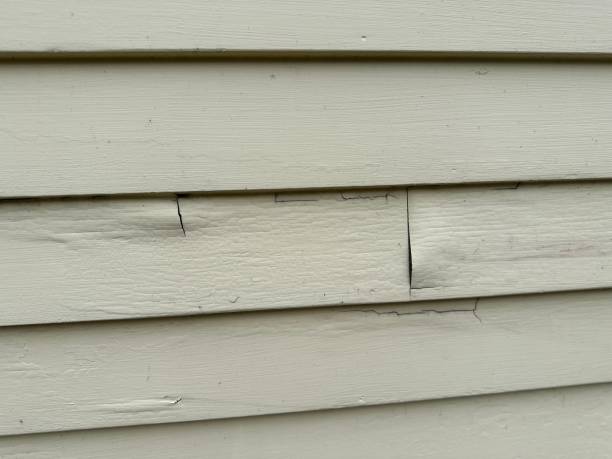 Trusted Cherryland, CA Siding Installation Experts